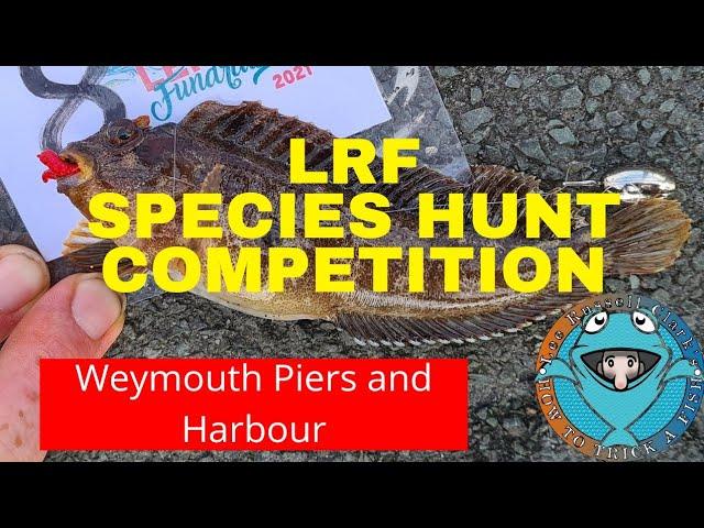 Weymouth LRF Species Hunt Competition - The Big Lerf