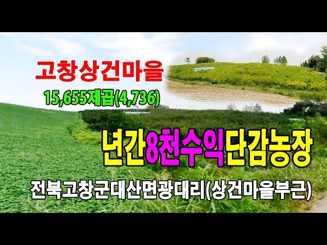 22-164[전북고창군지역토지][대산면광대리감나무밭]상건마을,하건마을,광대계룡길,관동저수지부근,감나무과수원밭(4,736py)매매~