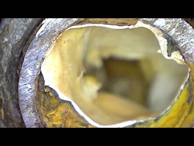Failures Of Epoxy Liner in Domestic Potable Water Systems