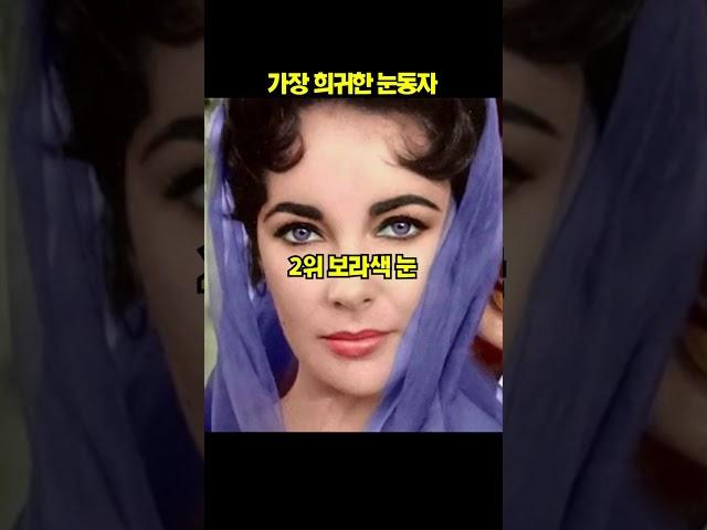 세계의 가장 희귀한 눈동자 top5[지식똥개]