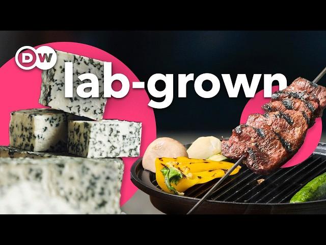 How to make lab-grown cheese and steak