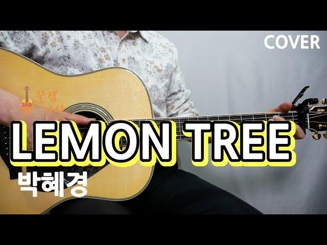 [꿀쉬움곡]레몬트리 LEMON TREE- 박혜경[ 통기타 커버, 연주,강좌 l Acoustic Guitar Cover ]