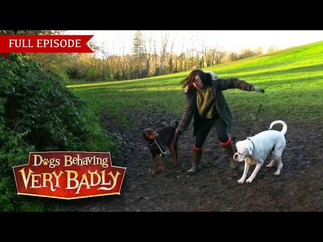 Dogs Behaving Very Badly: Series 3 - Episode 10 | Full Episode