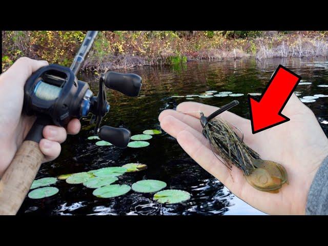 I DID NOT Want to Share This Jig Fishing SECRET!