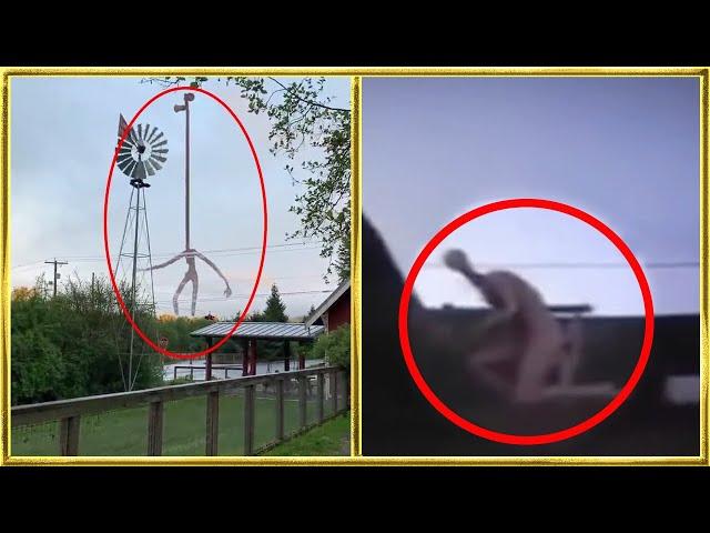 100 Mysterious Creatures Caught on Tape