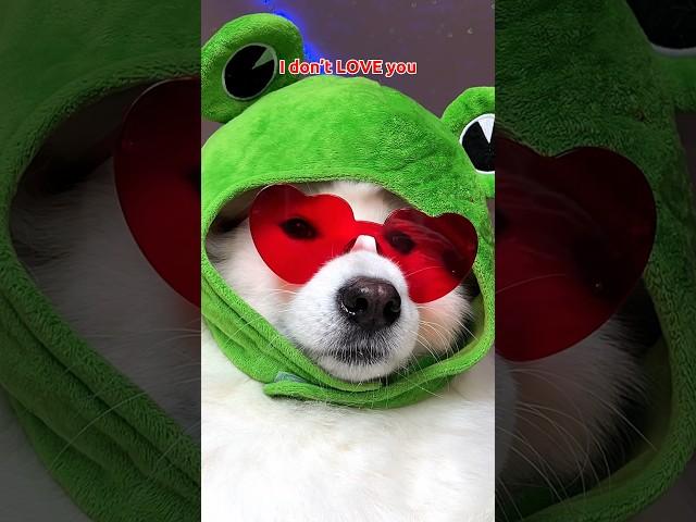 Send this to that one person  #dogsofinstagram #funny #tiktok #cute #puppy ib:pepelefuqyou