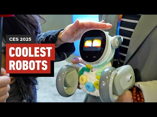 The Coolest Robots at CES 2025