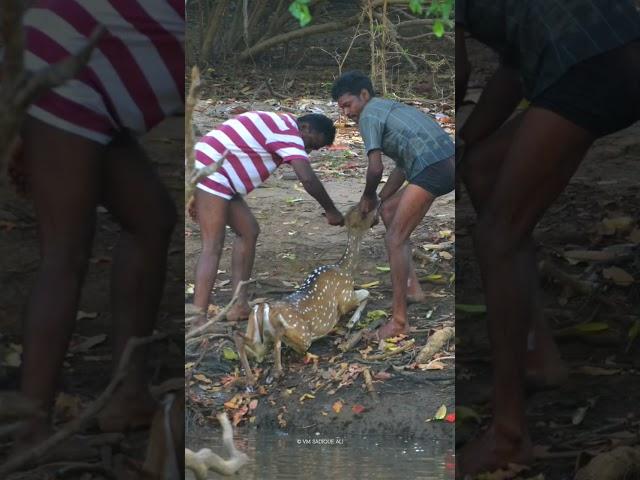 #wildlife #journey sathyamangalam #forest #photography #stories #nature #trip #adventure