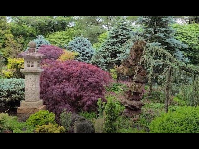 Amazing Japanese Garden --Half Hour Tour!!