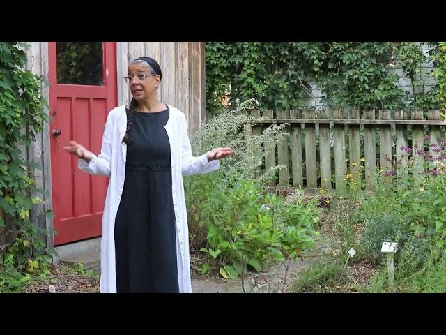 PHS Talks: Rediscovering the Hutchison House Herbal Garden with Kelly McDowell