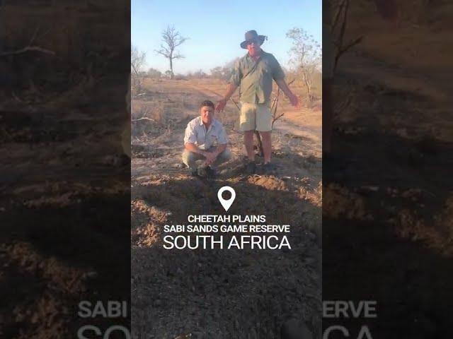 What Is A Rhino Midden? - Hands on with Ranger Buck.