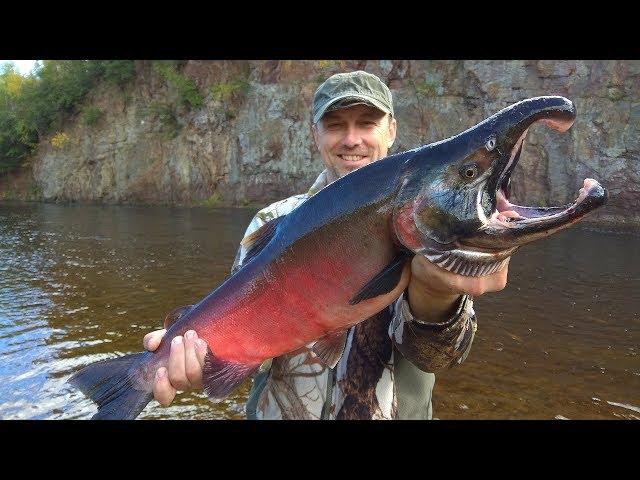 River Monster Fish! Fishing and adventure on the river in the taiga. Part 2