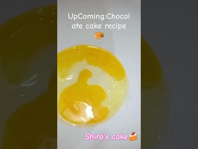 Upcoming: Yummy Chocolate cake recipe ||#cake #chocolatecake #recipe #easyrecipe #perfectrecipe