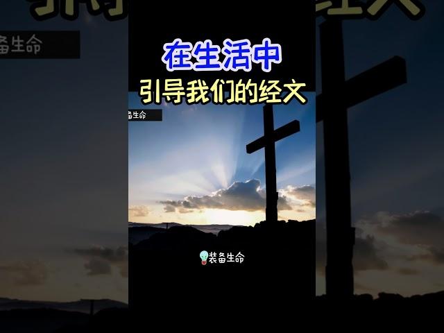 【在生活中引导我们的经文】 #shorts #基督教 #圣经 #装备生命