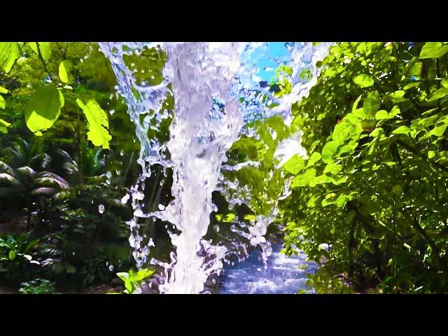 Tropical Waterfall White Noise | Sleep, Study, Focus with Relaxing Water Sounds | 10 Hours