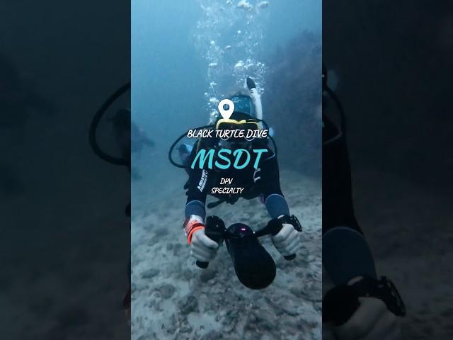 PADI MSDT DPV Specialty Instructor training on Koh Tao  #short #thailand #scubadiving  #shorts