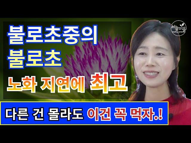 불로초중의 불로초. 노화 지연에 최고, 다른 건 몰라도 이건 꼭 먹자.! [하늘마을 힐링센터 유소영 원장]