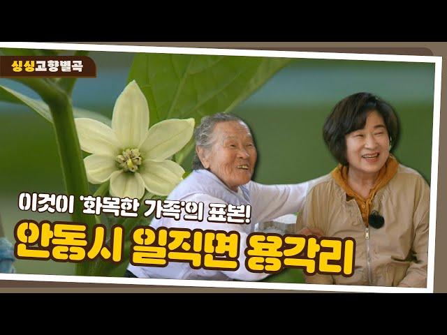 오이처럼 유쾌상쾌통쾌ㅣ화목의 정석ㅣ안동시 일직면 용각리 [싱싱 고향별곡]