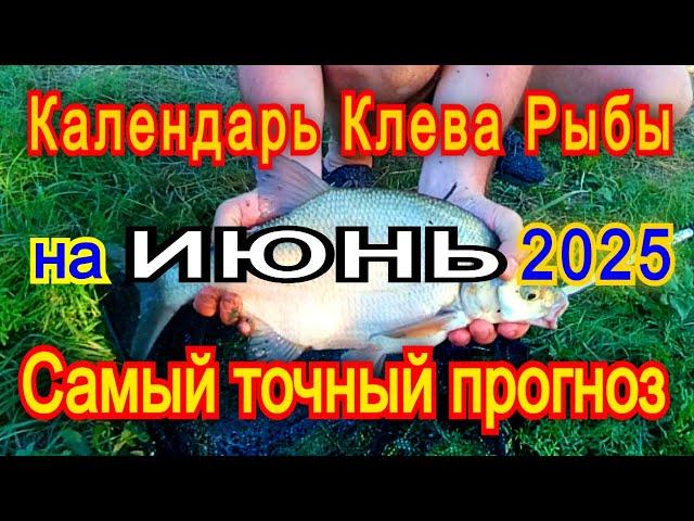 Календарь клева на ИЮНЬ 2025 Прогноз клева рыбы Лунный Календарь рыбака 2025!
