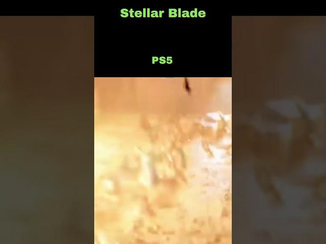 Parent's Guide to Stellar Blade