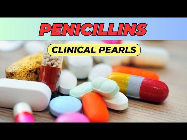 penicillins clinical pharmacology, antibiotics clinical pearls, clinical pharmacology made simple