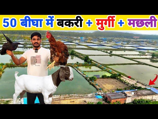 50 बीघा में मछली, बकरी, मुर्गी, कबूतर, बतख पालन | Integrated Fish Farming