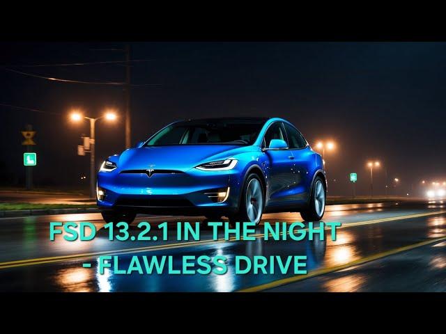 Flawless Night Drive with Tesla FSD 13.2.1