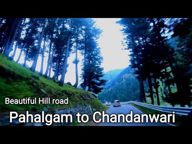 Pahalgam to Chandanwari by road | पहलगाम से चंदनवाड़ी का रास्ता |