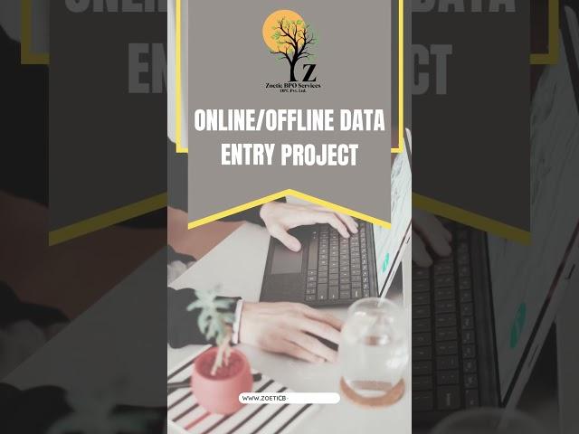 Online/Offline Data Entry Project | Zoetic BPO Services