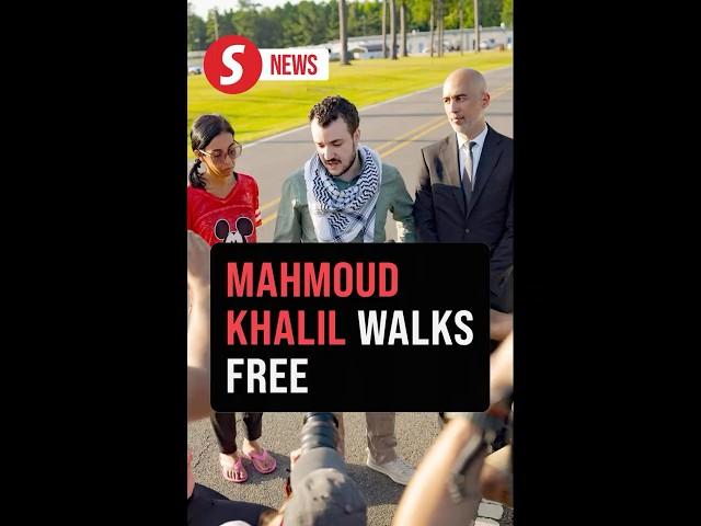 Pro-Palestinian activist Mahmoud Khalil walks free after US judge orders his release
