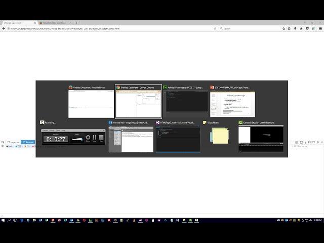 IST 237 Intermediate Website Design - Chapter 4