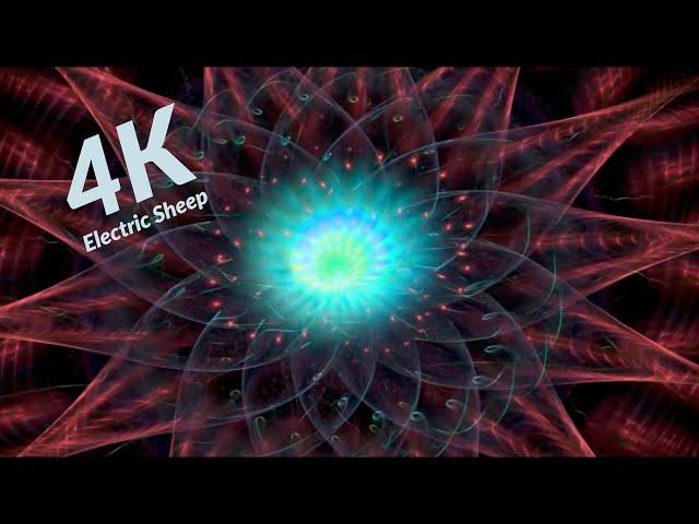 4k Electric Sheep for calm and relaxation