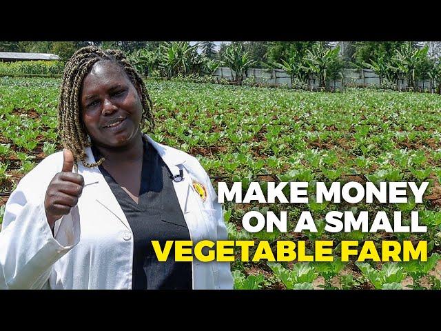 How to Make Money on a Small Farm: Profitable Vegetable Farming for a Small Farmer