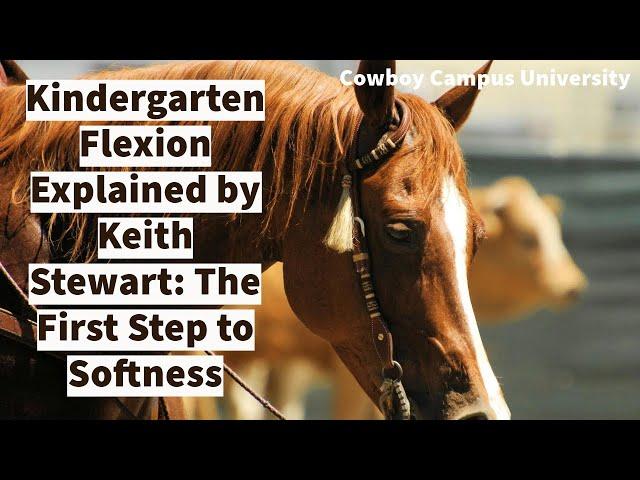 Keith Stewart Talks Kindergarten Flexation
