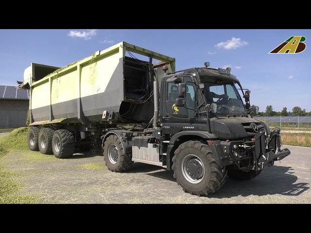 Großeinsatz Maishäckseln 2024  10 Fahrzeuge Lohnunternehmer im Einsatz farmer corn harvest Maisernte