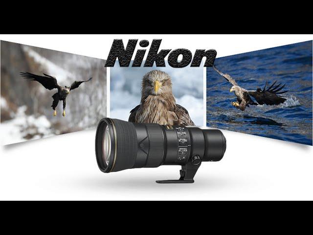 Review Nikon  500mm