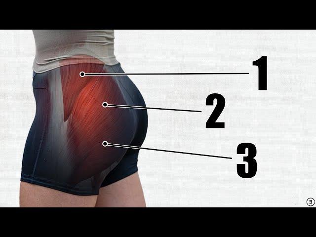 How To Grow Your Glutes (5 BEST Exercises + Gluteal Amnesia Myth Busting)