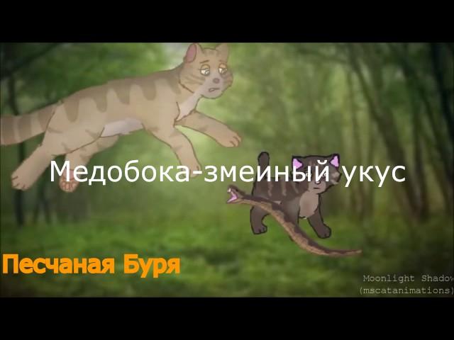 Коты воители (Смерти 2)