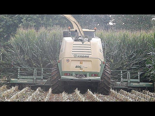 Krone Big X 1100 & 3 Visini Tetra - Copeta Angelo & Sergio - Corn silage 2018