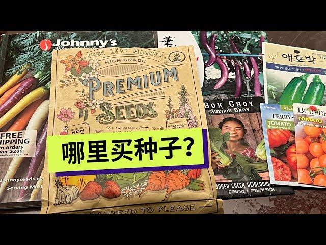 【种子】where to buy seeds｜北美种植