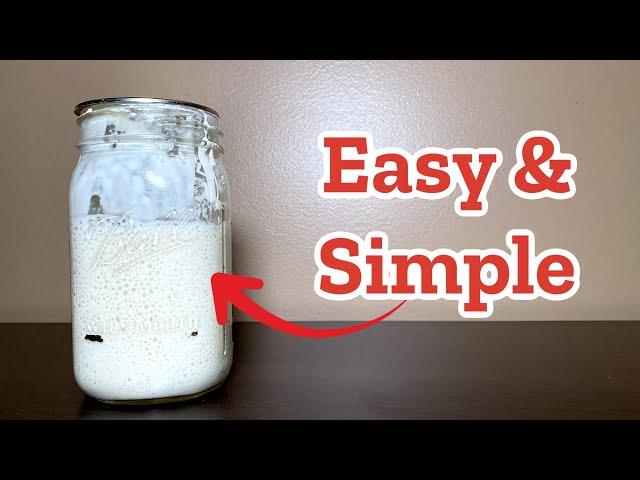 How to Make Sourdough Starter from Scratch