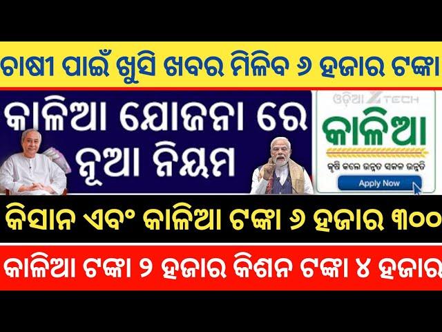 Kalia And Kisan Yojana Money Transfer | Kalia Yojana New List May 2024 | Kalia And Kisan Yojana