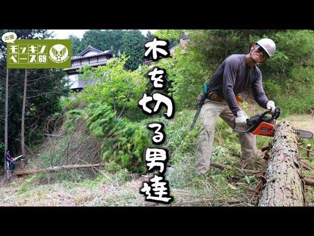 【伐採】チェーンソーで木を切るボランティア活動 Logging Chainsaw activity