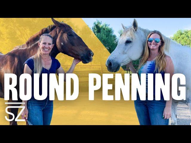 Learn How to Round Pen Like a Pro