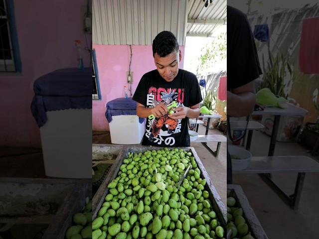LARIN Y LOS MANGOS #comedia