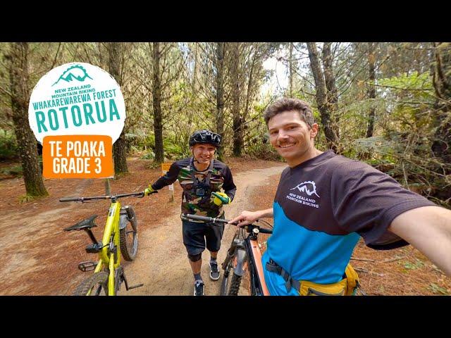 The trail to put the biggest smile on your face! Te Poaka, Rotorua