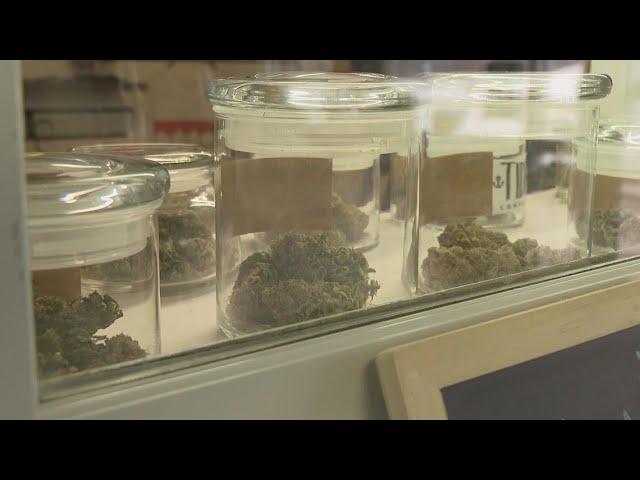 Court affirms Maine medical marijuana dispensary owners can be from out-of-state