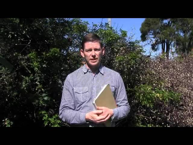Seed Social Enterprise