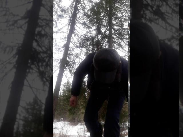 Сибирский характер