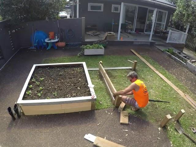 Kingi's Garden Timelapse 2020